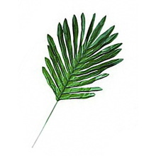 Листья папоротника зелёные. Размер 20см*27см.